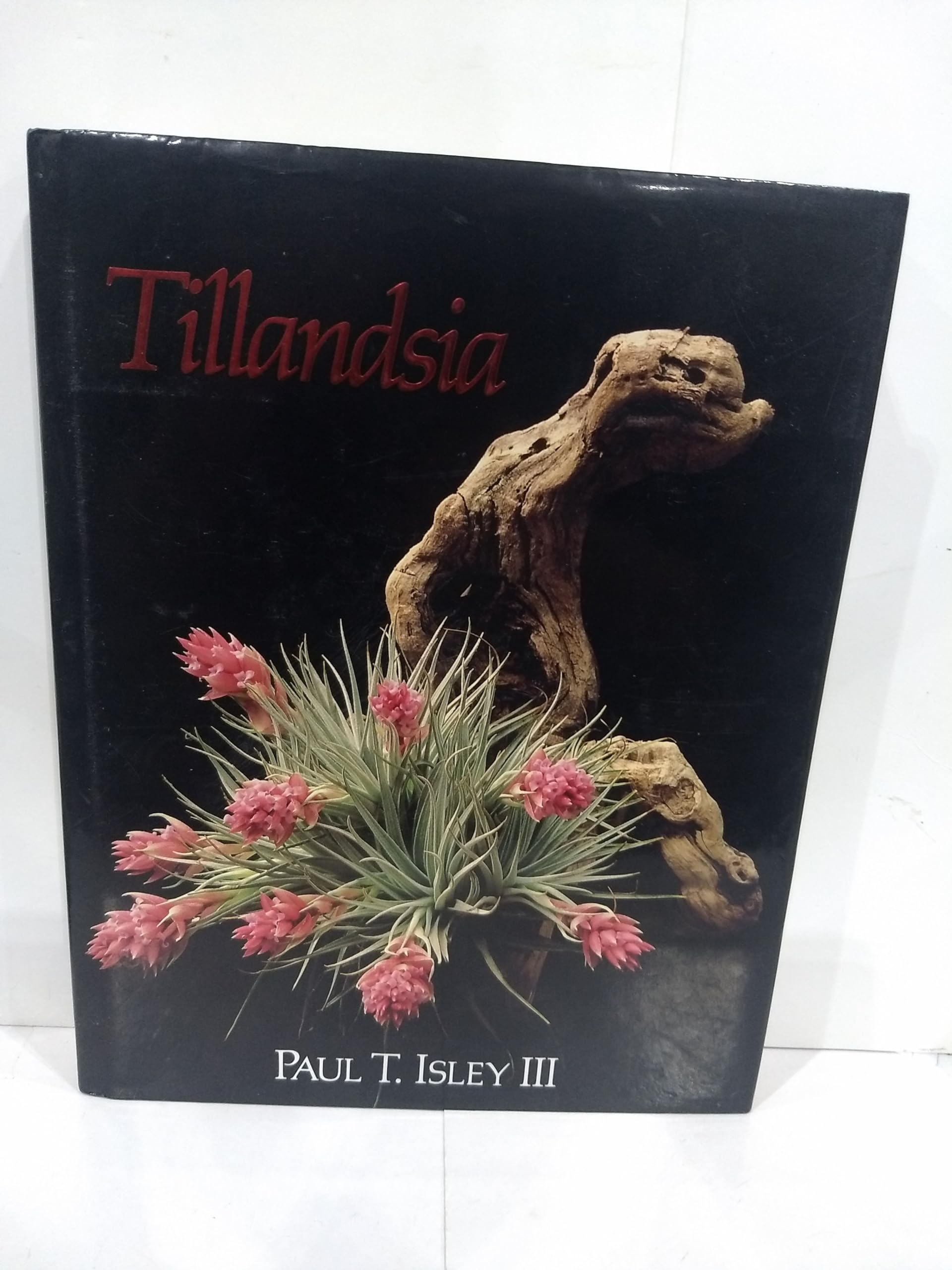 Amazon.com: Paul T. Isley: books, biography, latest update
